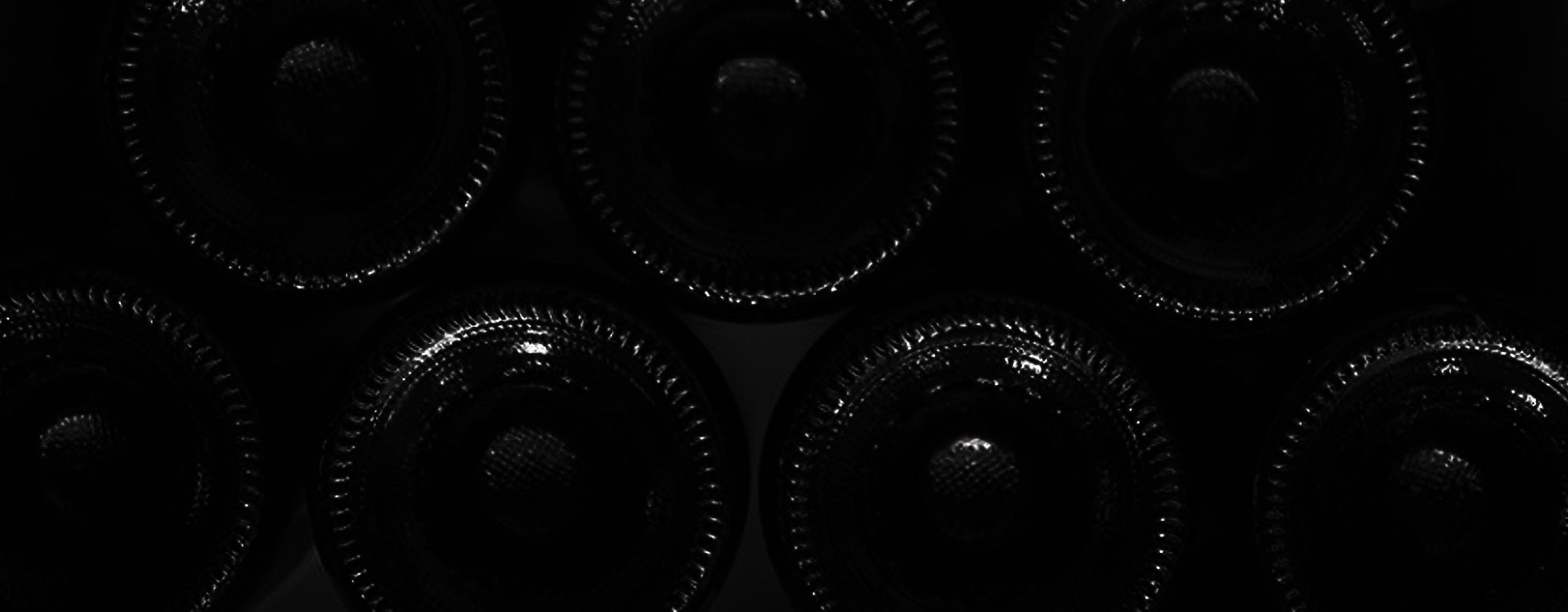 Les Magnums