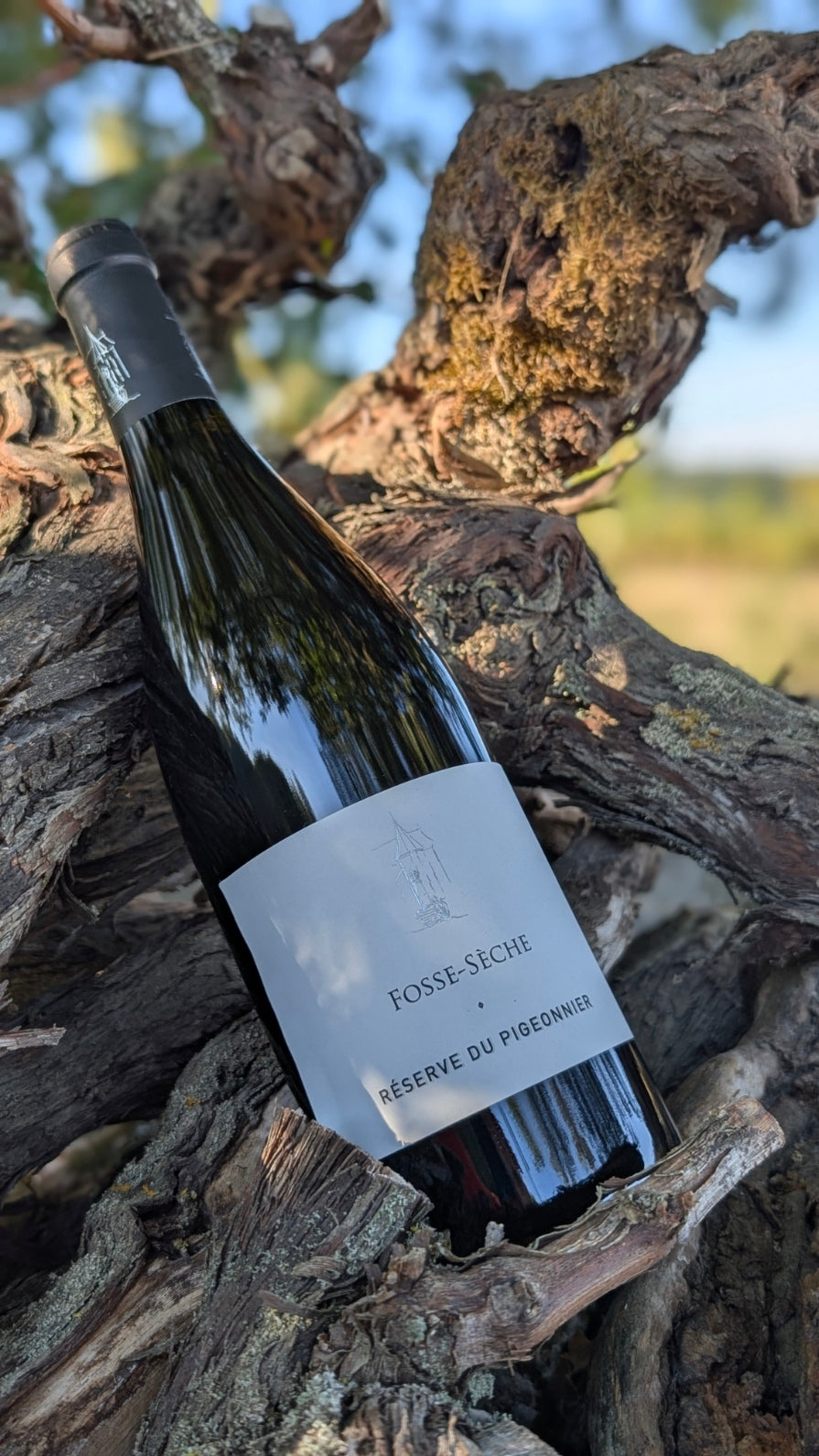 Fosse-Sèche, la signature qui inspire les sommeliers étoilés